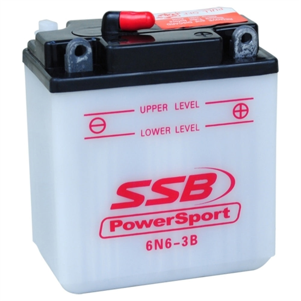 6N6-3B-1