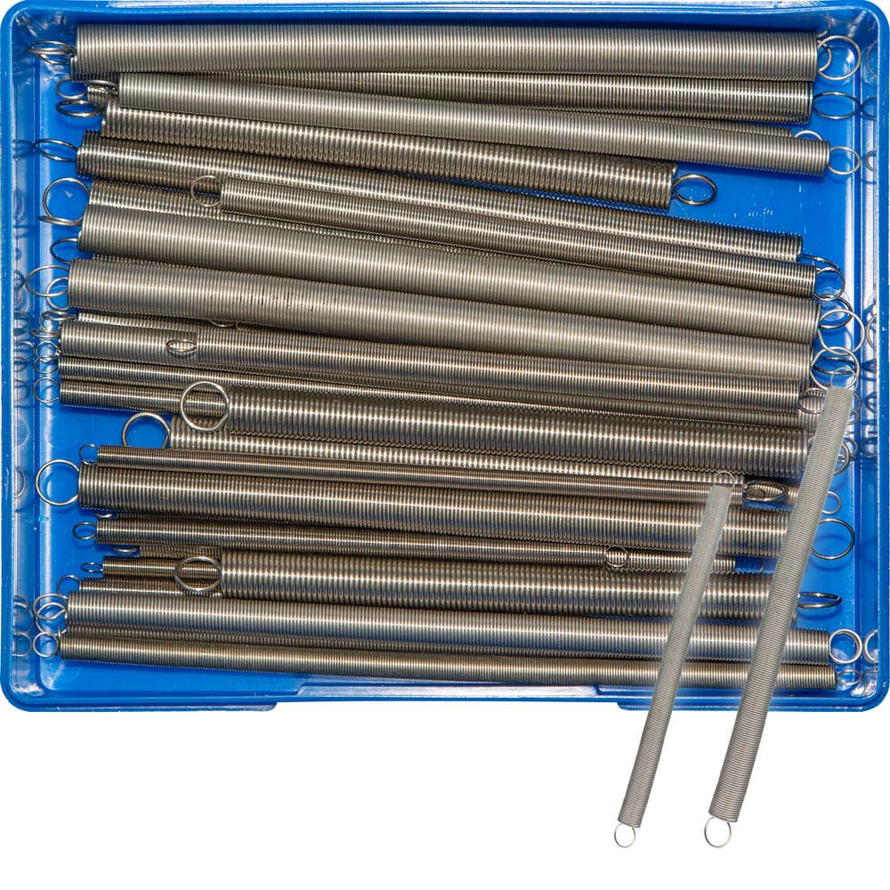 Champion 36pc Accelerator Spring Assortment – S/Steel