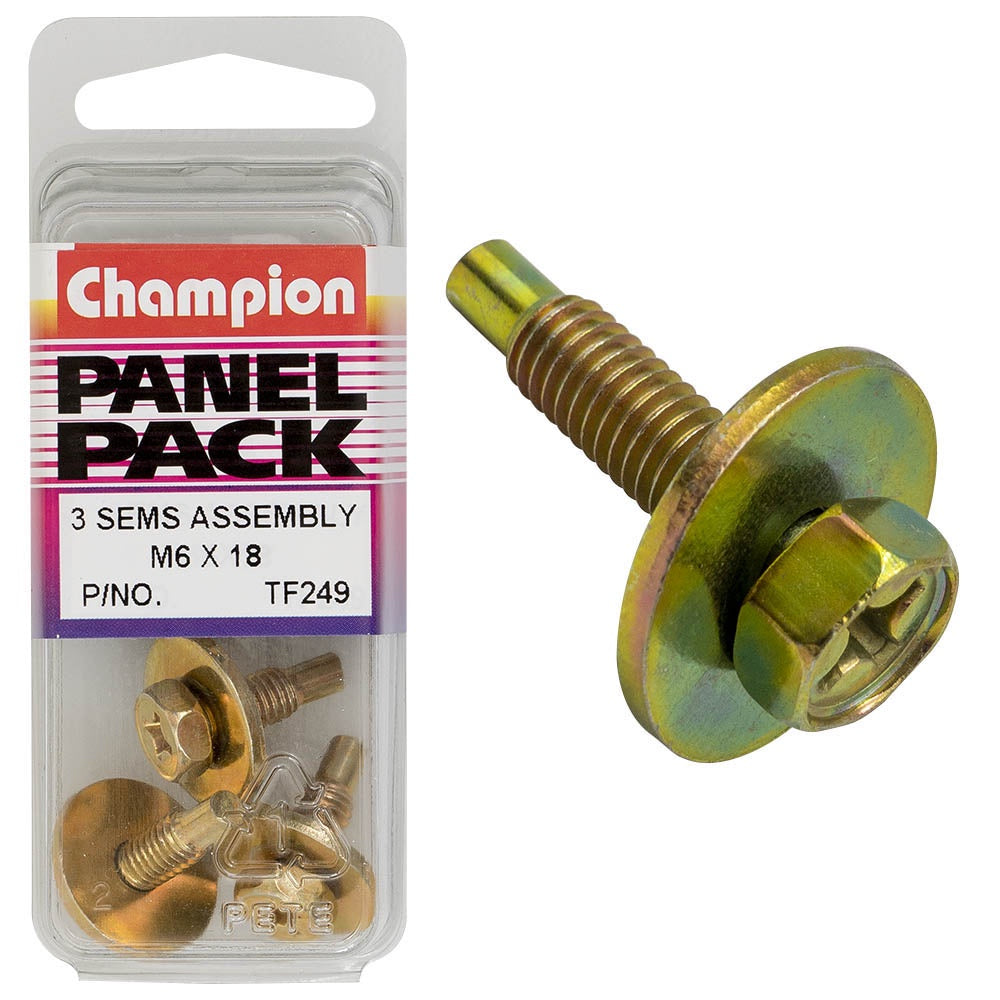 Champion Hex Set Screw Sems Flat Washer Pilot M6x18
