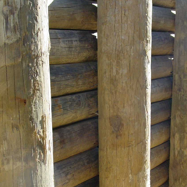 Cannonmaster™ Strip Nailer Kit