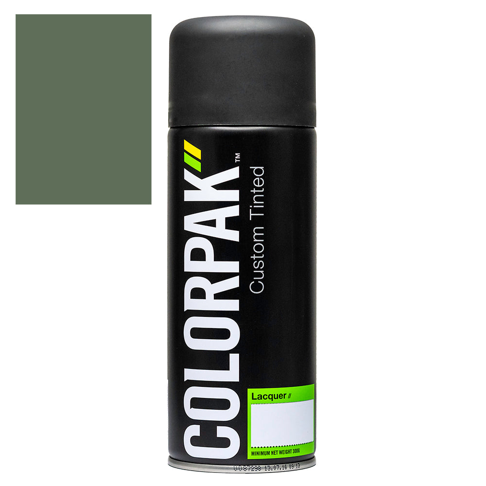 Colorpak Coloursteel Aerosol Spraypaint Rivergum