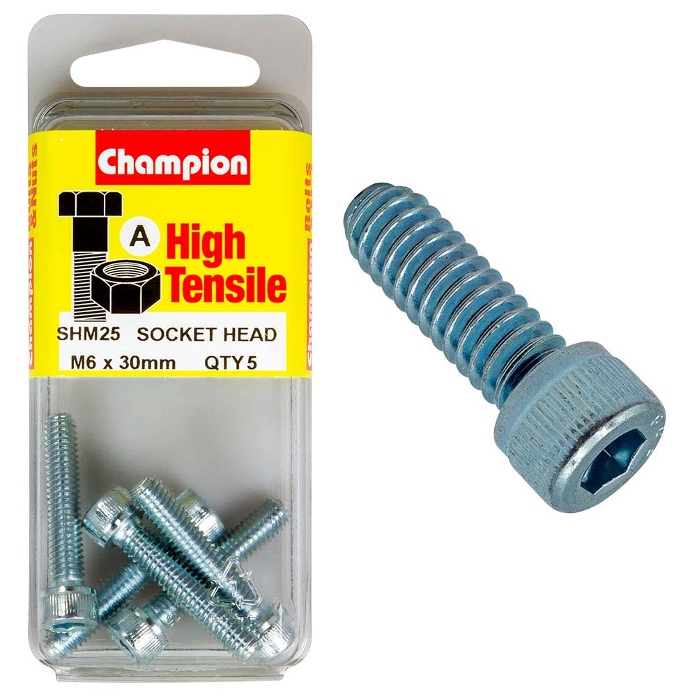 Champion Socket Hd Set Screw M6 X 30 (A) - Gr12.9