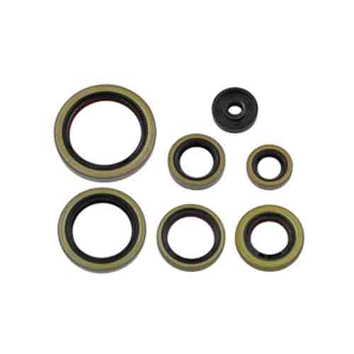 Engine Oil Seal Set Gas Gas Ec250 Ex300 21 Husqvarna Tc250 17-19 Te250 17-18 Te250 Tpi 18-19
