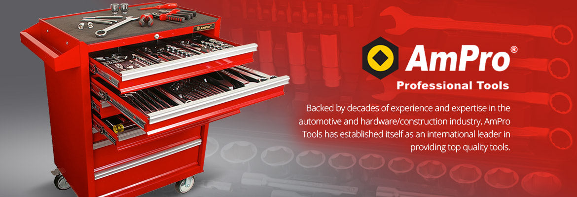 Ampro Bisc Ampro Tools | Precision for Professionals | NZ Fasteners