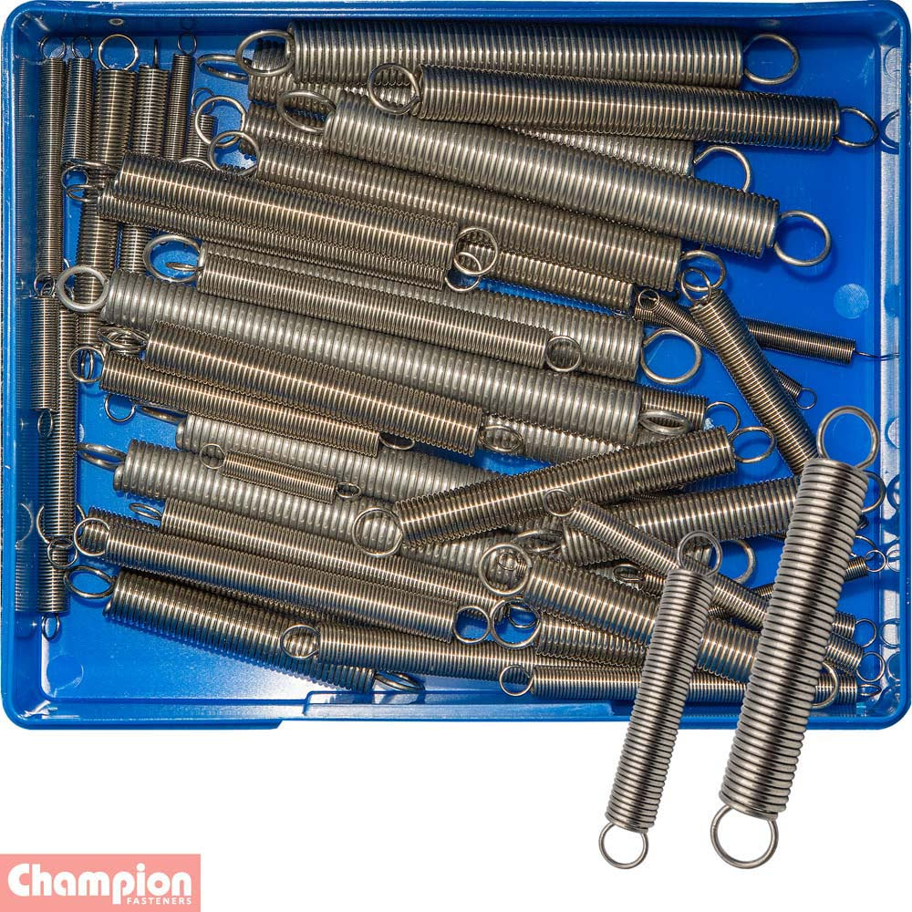 Champion 48pc Extension Spring Assortment – S/Steel