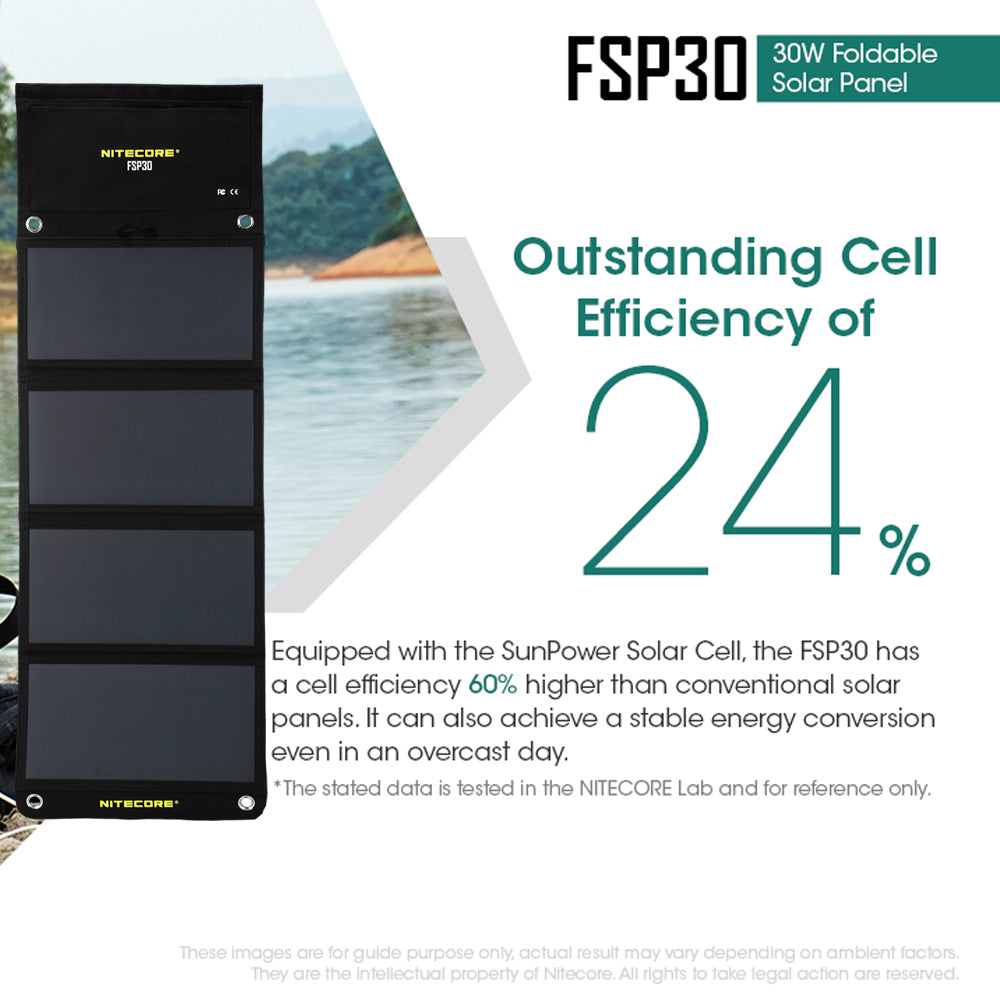FSP30
