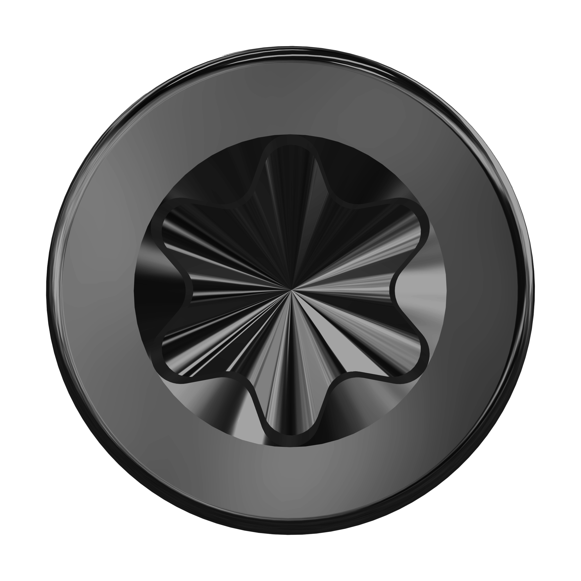 Ecko Joltscrew 8G X 75Mm Stainless Steel Black 316 Star Drive T15 (600 Box)