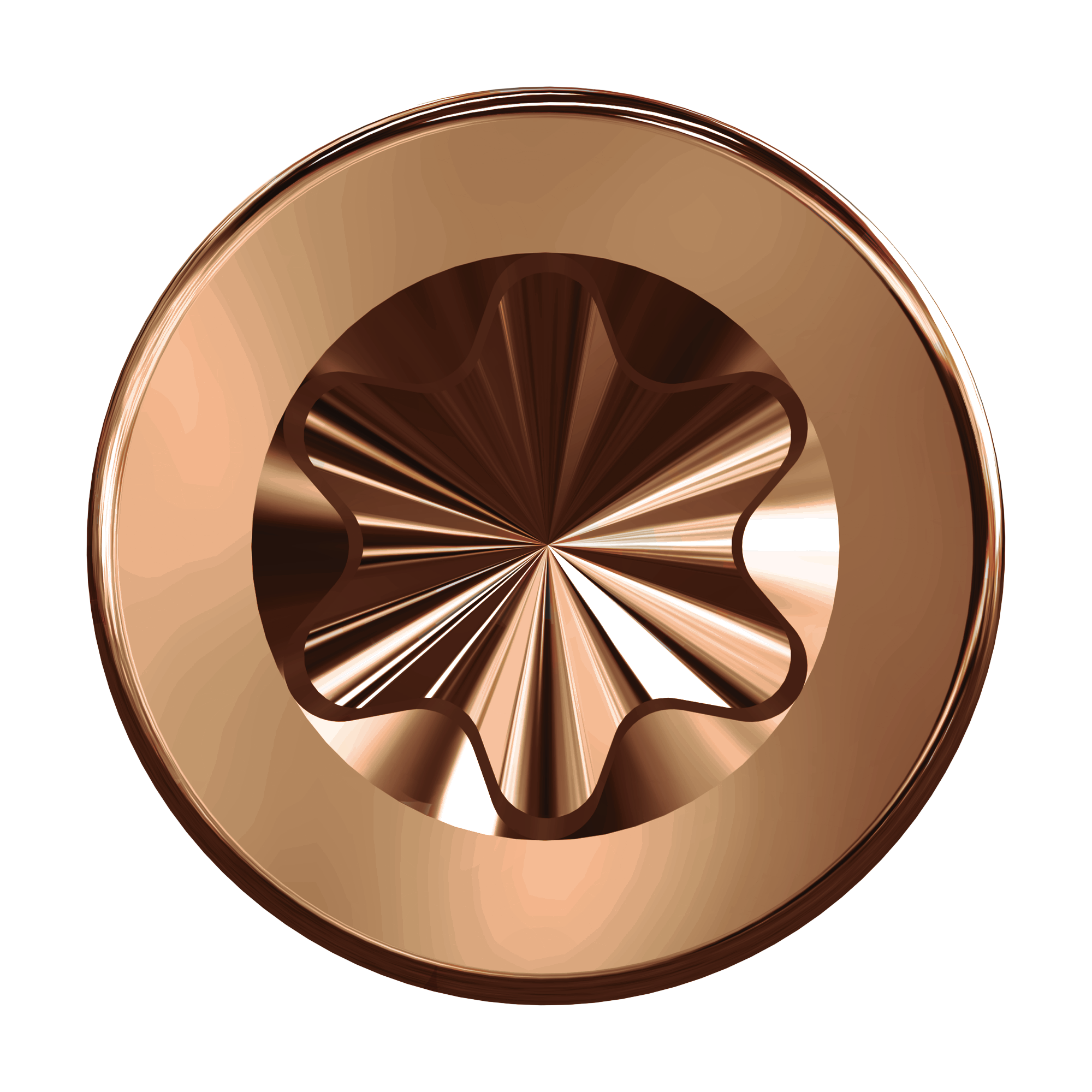 Ecko Joltscrew 8G X 75Mm Stainless Steel Bronze 316 Star Drive T15 (600 Box)