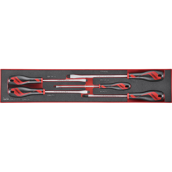 Teng 5Pc Md Screwdriver Set - Tex-Tray