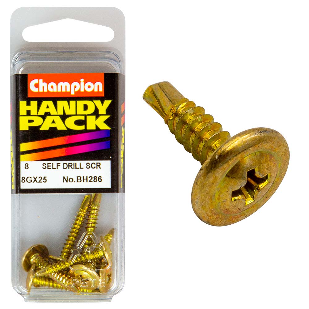 Champion 8G X 18 X 25Mm Self Drilling Set Screw