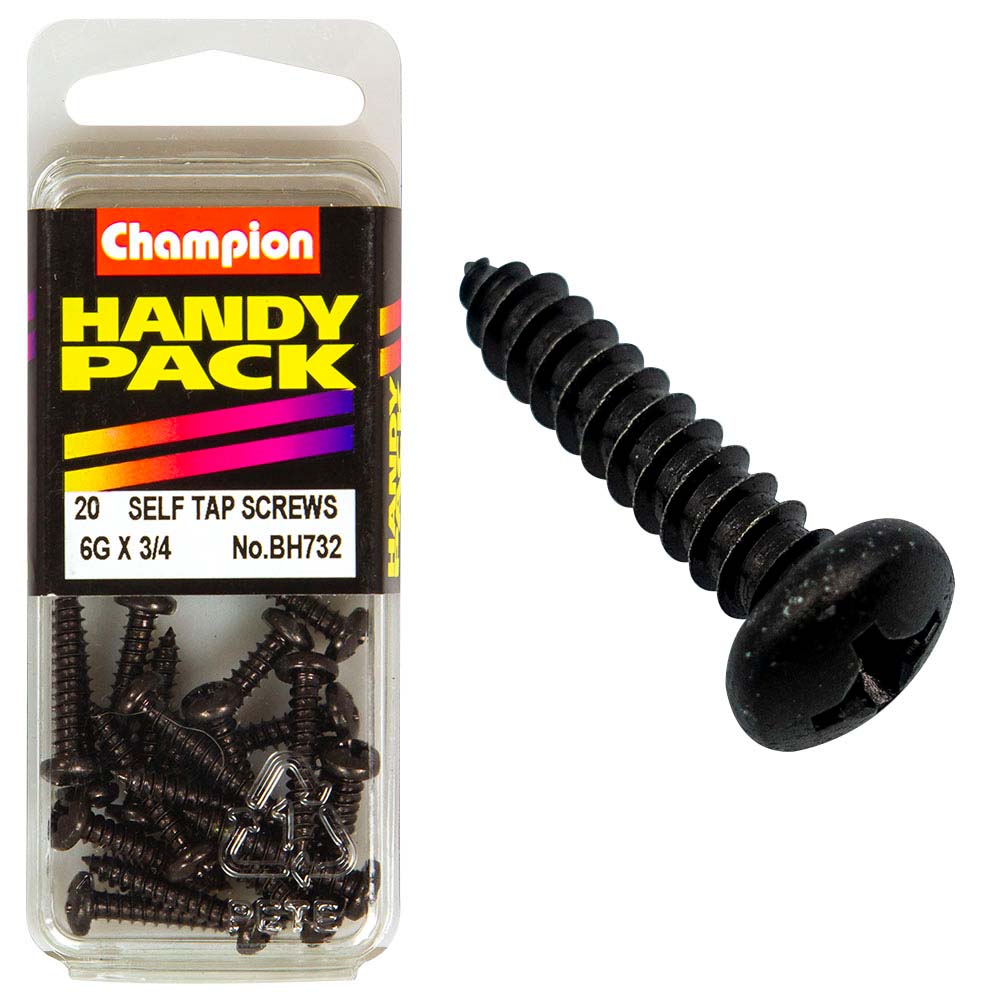 Champion 6G X 3/4In S/Tap Set Screw - Black Zinc