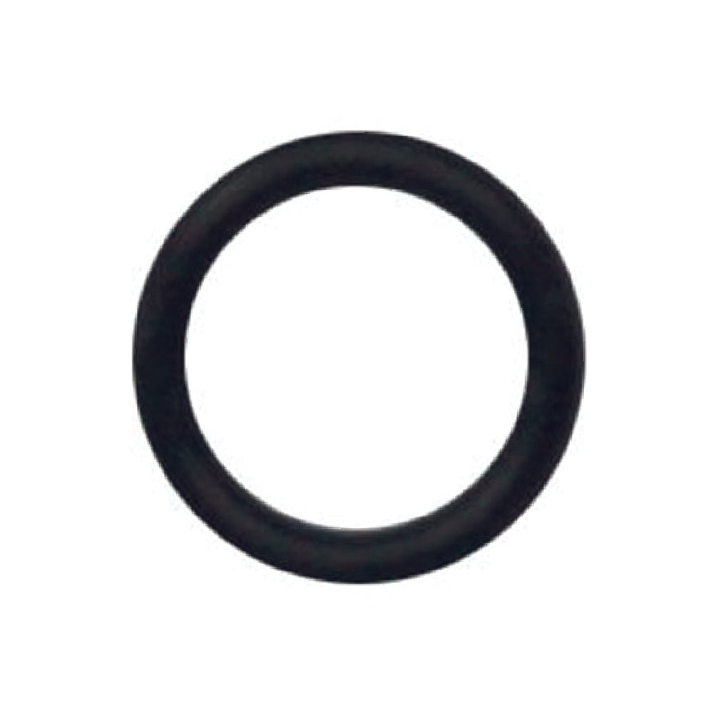 Iwata O Ring For W101 / W200 / W300 / W400