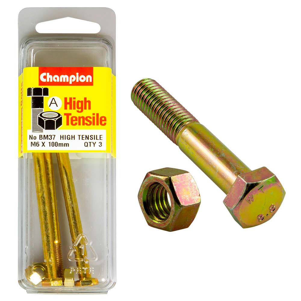 Champion M6 X 100 Bolt & Nut (A) - Gr8.8