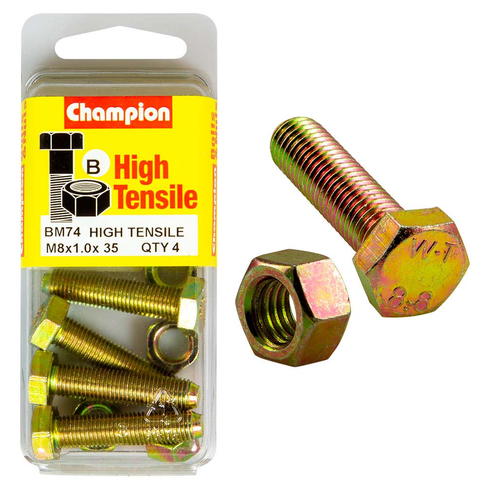 Champion M8 X 35 X 1.00 Set Screw & Nut (B) - Gr8.8