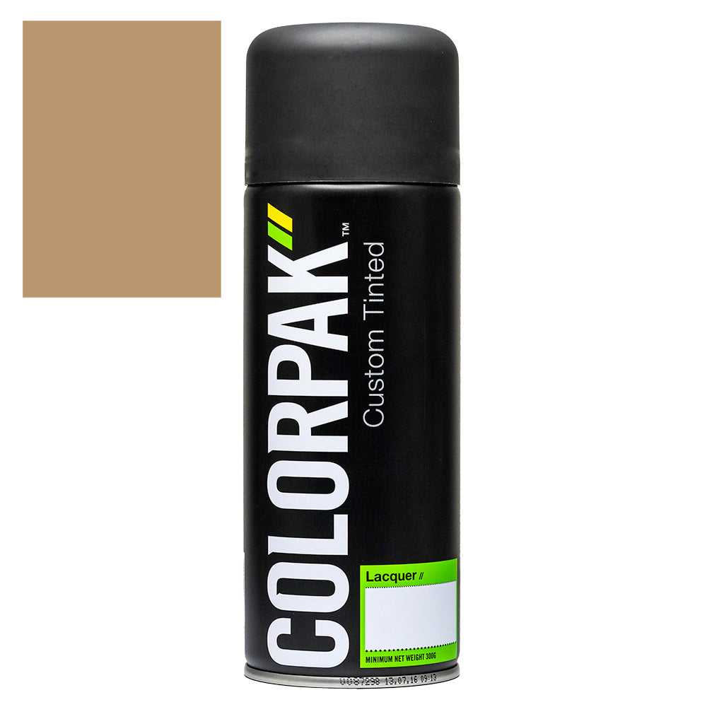 Colorpak Coloursteel Aerosol Spraypaint Lichen