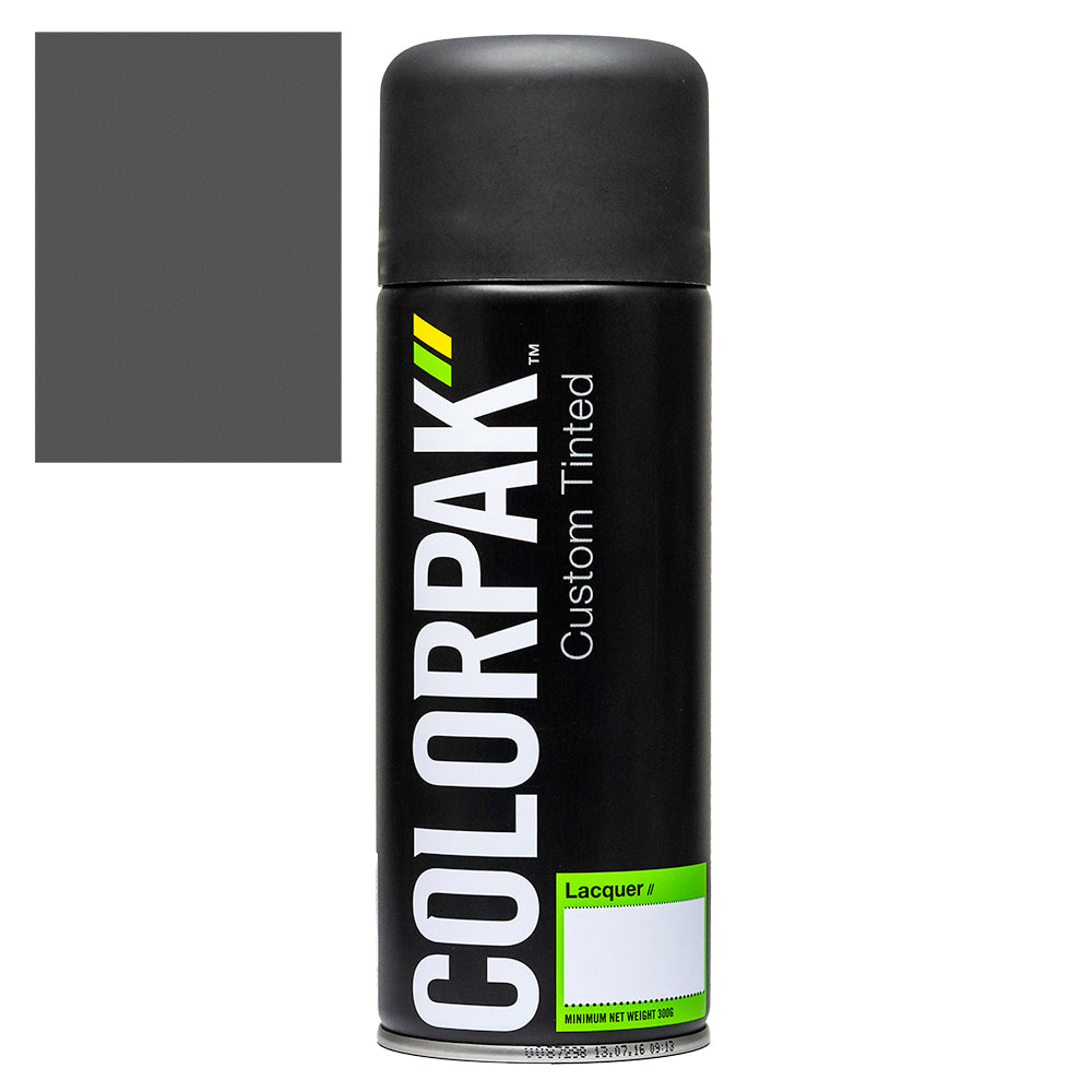 Colorpak Coloursteel Aerosol Spraypaint Thunder Grey