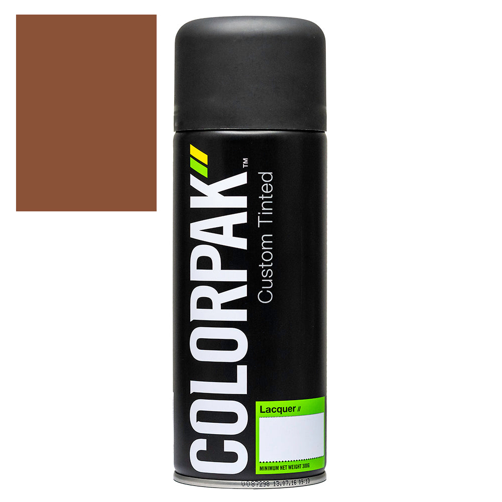 Colorpak Coloursteel Aerosol Spraypaint Terracotta
