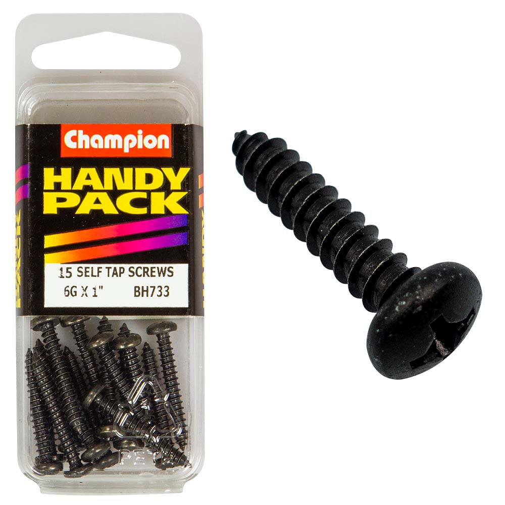 Champion 6G X 1In S/Tap Set Screw - Black