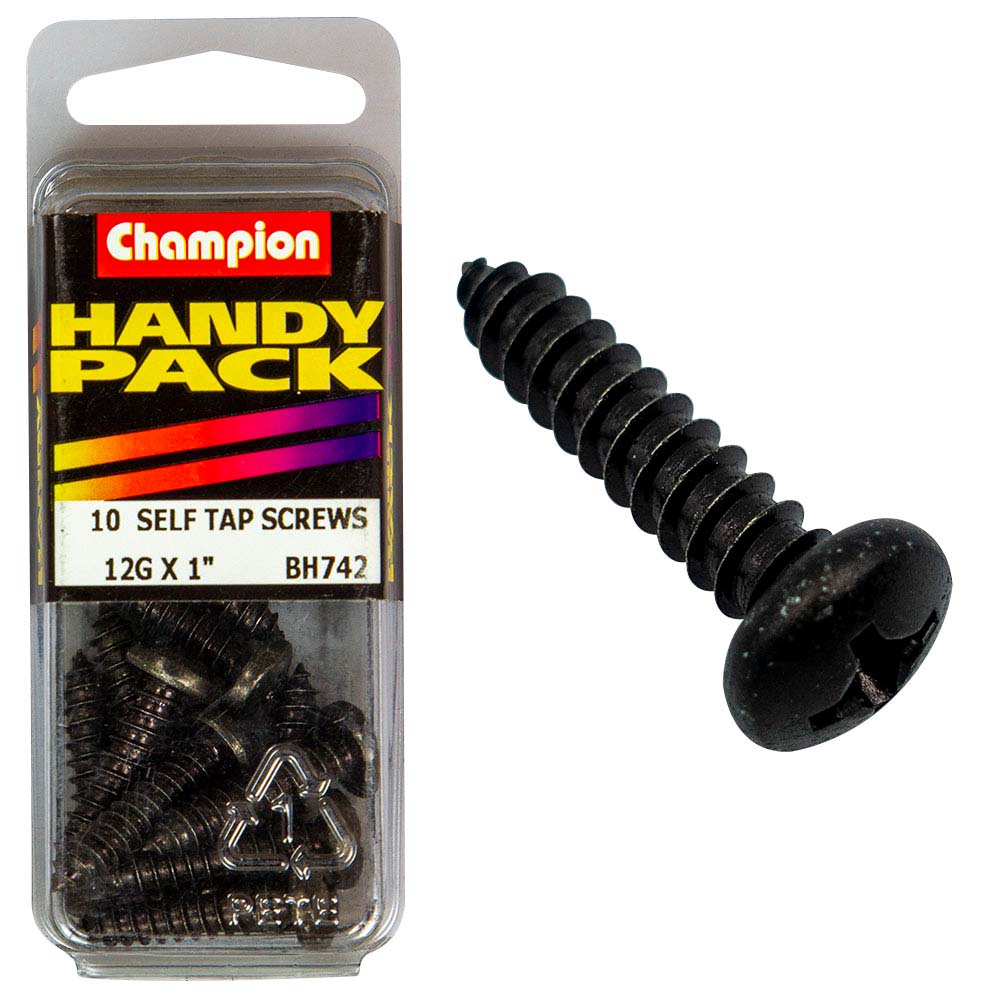 Champion 12G X 1 S/Tap Set Screw - Blk Zinc