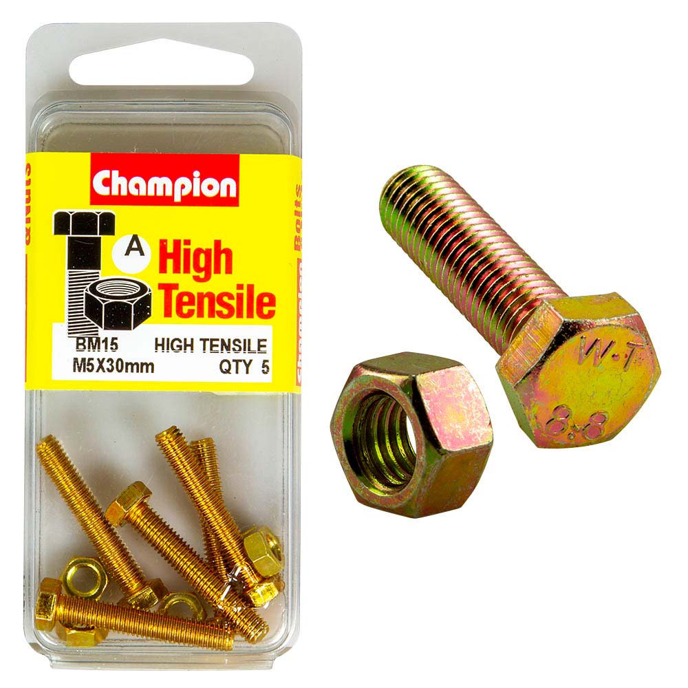 Champion M5 X 30 Set Screw & Nut (A) - Gr8.8