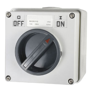 10A 1 Pole 250V Surface Switch Module Ip66
