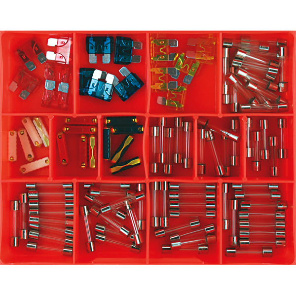 Champion 100Pc Auto Fuse Assortment (Glass  Blade & Euro)