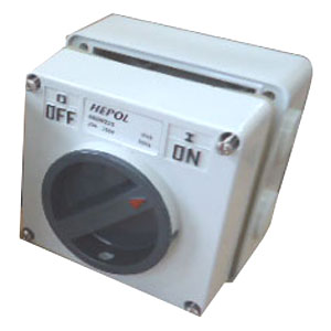 20A 2 Pole 250V Surface Switch Module Ip66