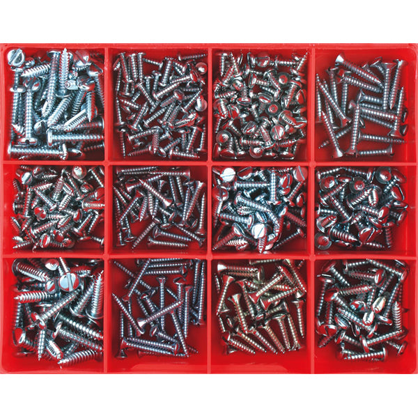 Champion 420Pc Slotted Self Tapping Screw Assortment