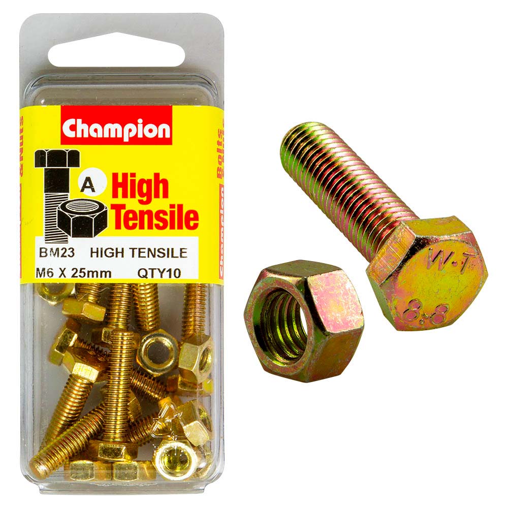 Champion M6 X 25 Set Screw & Nut (A) - Gr8.8