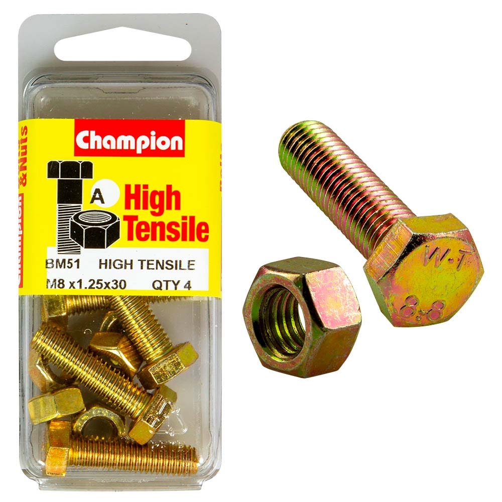 Champion M8 X 30 Set Screw & Nut (A) - Gr8.8