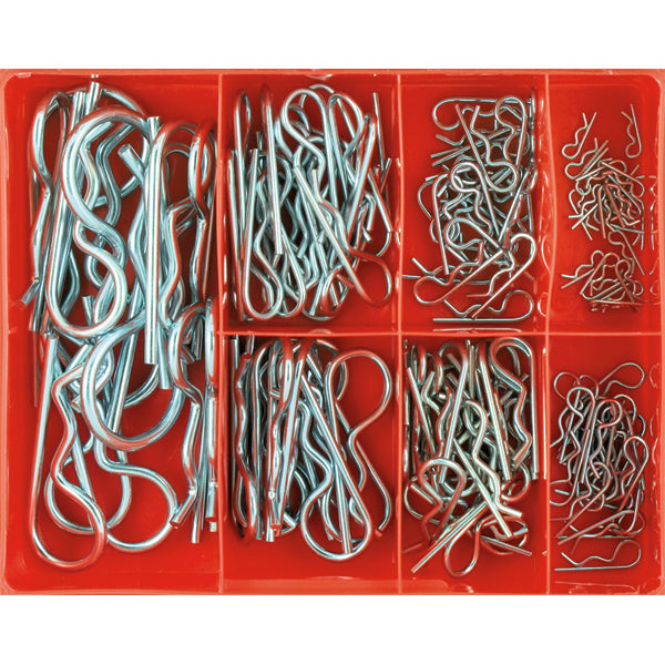 Champion 124Pc R-Clip Assortment (Zinc Plated)