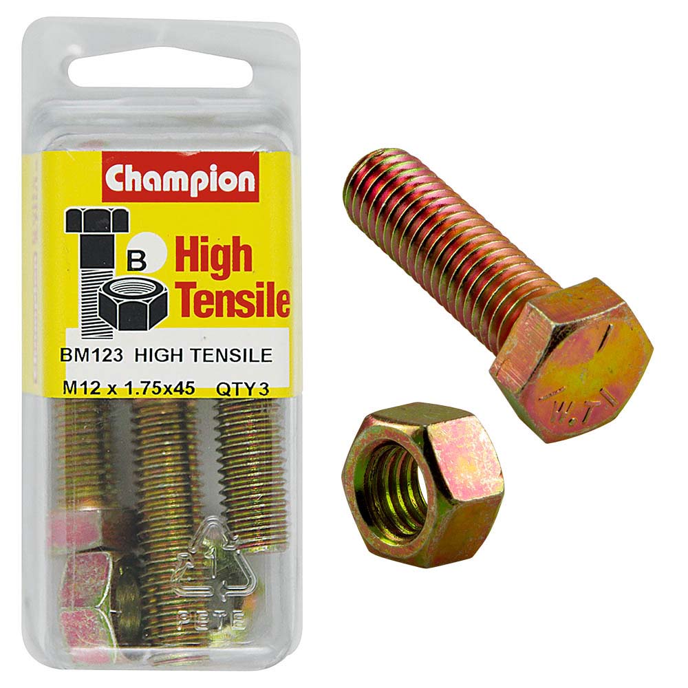 Champion M12 X 45 Set Screw & Nut (B) - Gr8.8